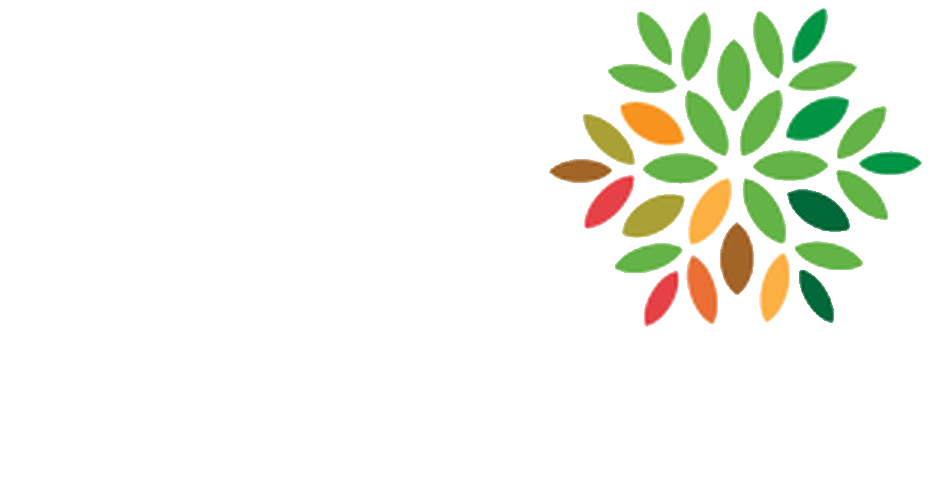 Cornerstone Solutions Group